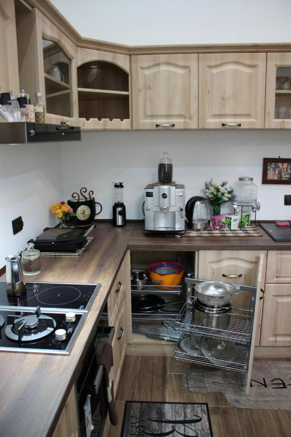 Ella Apartment Timisoara No9 Zewnętrze zdjęcie