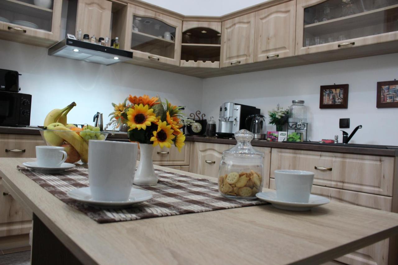 Ella Apartment Timisoara No9 Zewnętrze zdjęcie