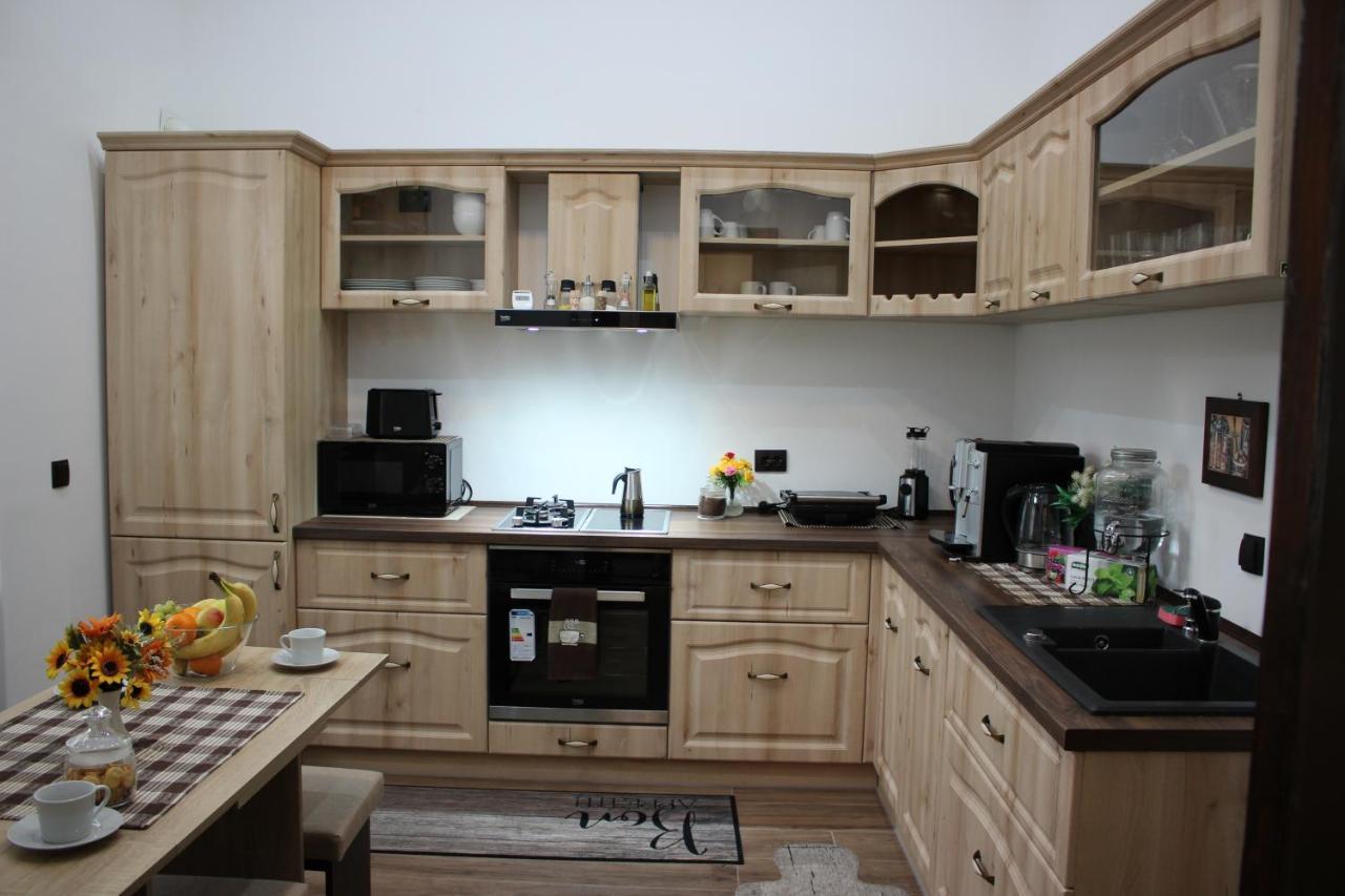 Ella Apartment Timisoara No9 Zewnętrze zdjęcie