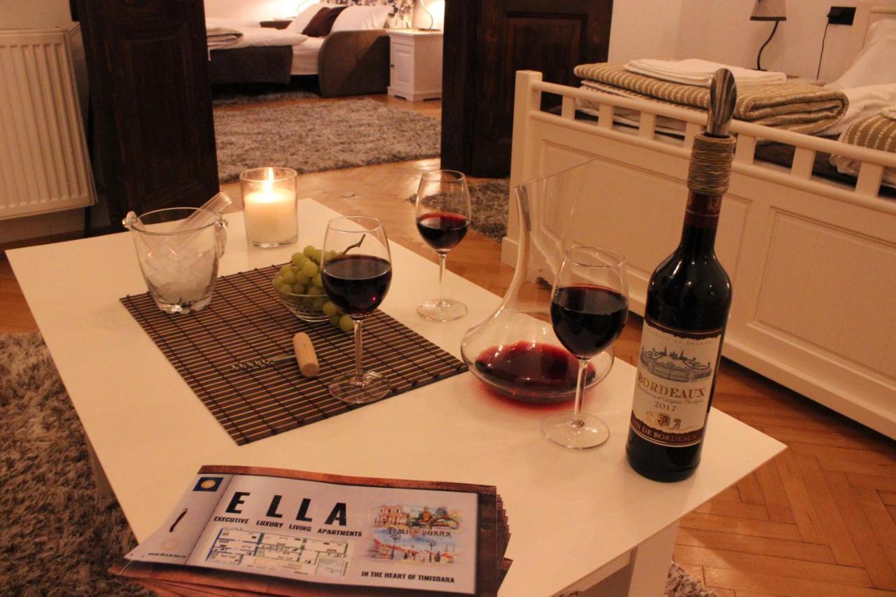 Ella Apartment Timisoara No9 Zewnętrze zdjęcie